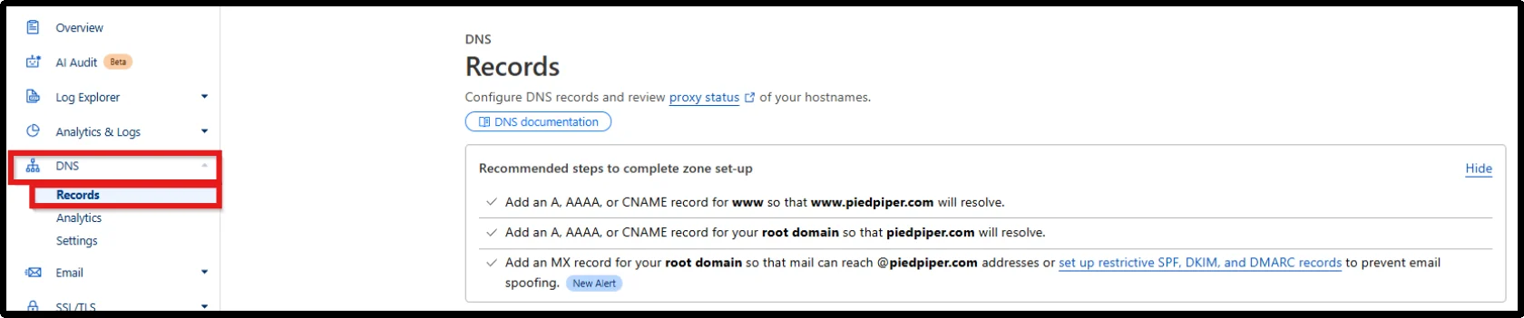 Open the DNS management page from the dashboard